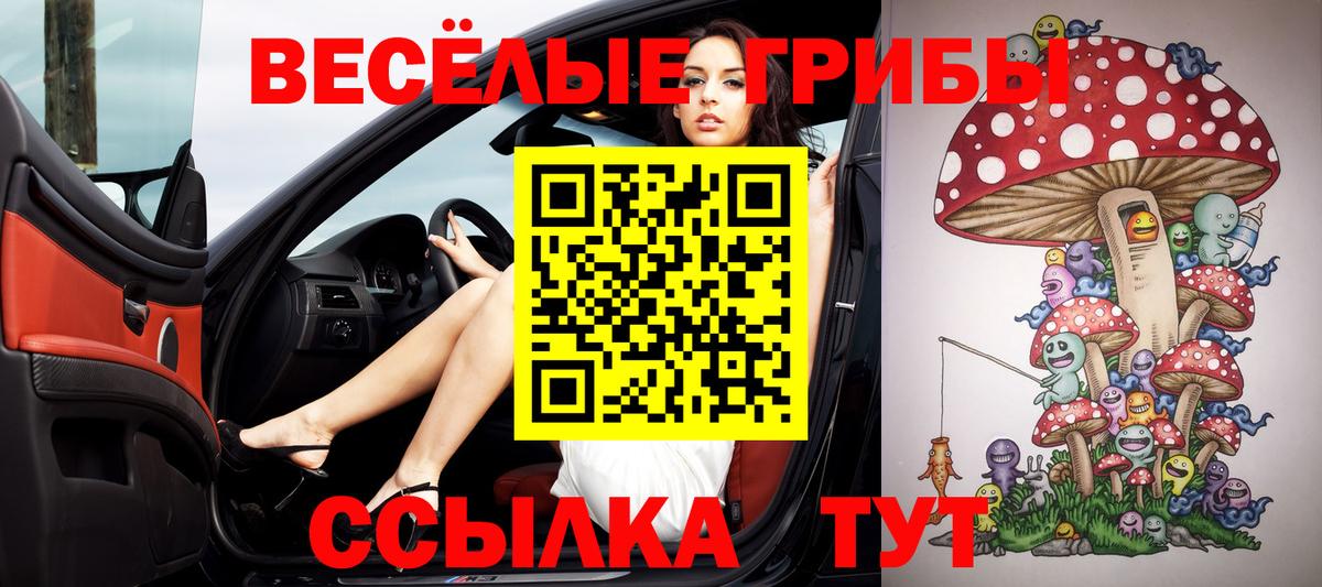 Тосно  Псилоцибиновые грибы мицелий  Вход с VPN 