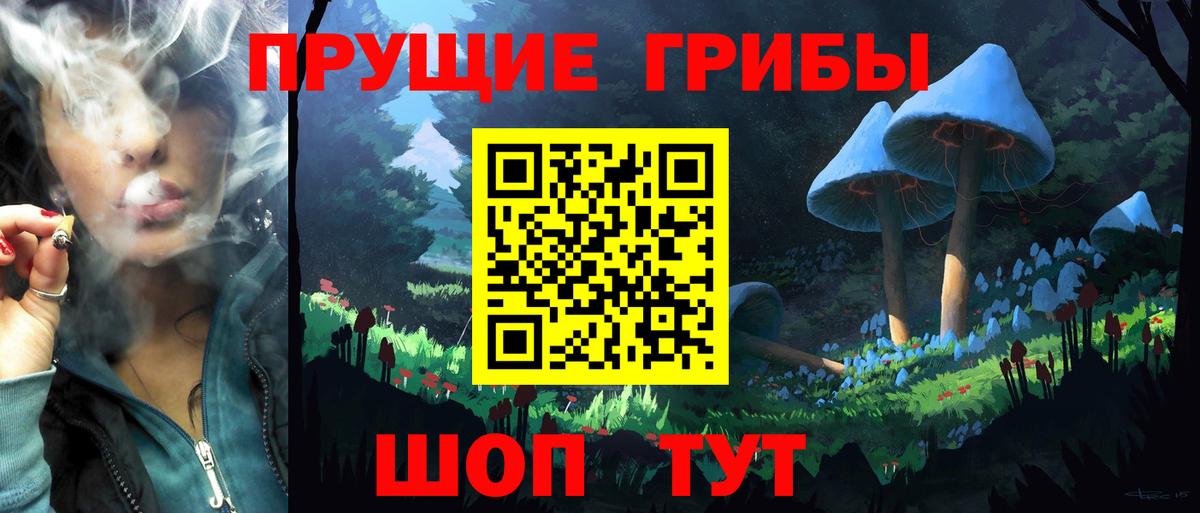 Псилоцибиновые грибы GOLDEN TEACHER Тосно