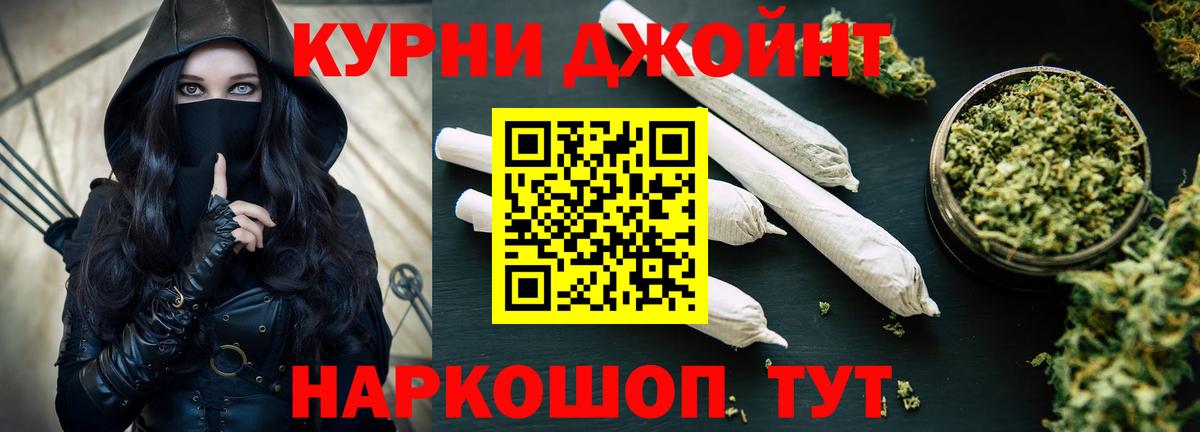 Конопля конопля Тосно